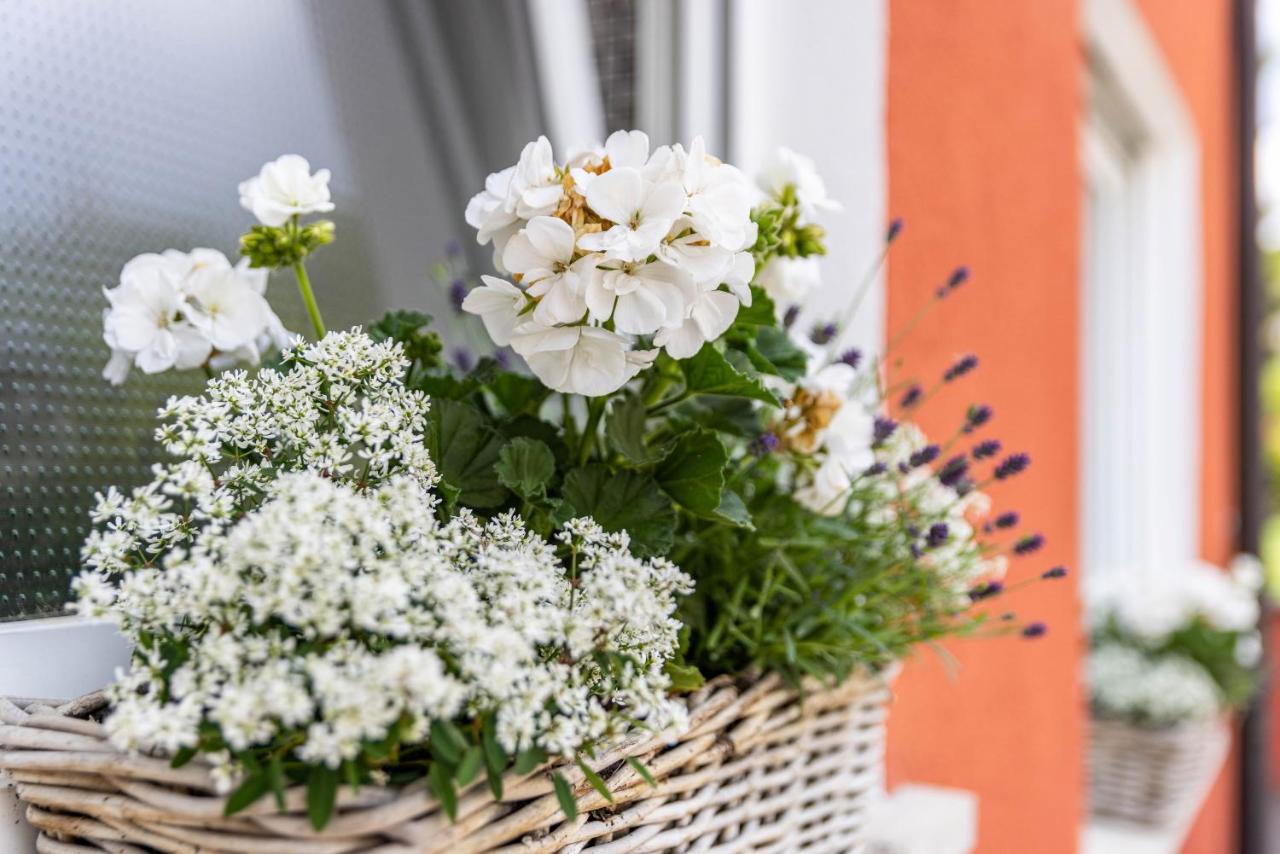 Ferienwohnung Lammerberg Albstadt Zewnętrze zdjęcie